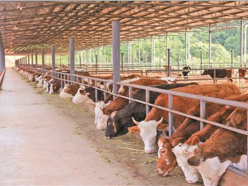 污水處理廠除臭不用擔心，微菌環(huán)境很在行